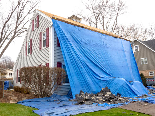 Best Shed Removal  in Youngsville, LA